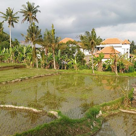 Villa Lanus Ubud Buitenkant foto