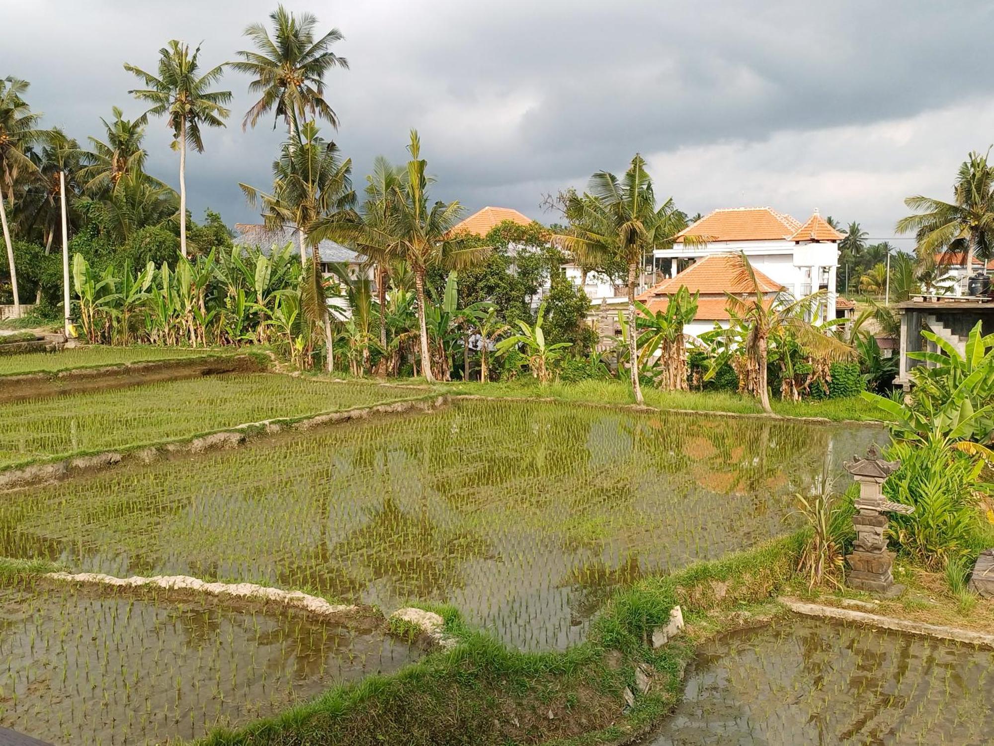 Villa Lanus Ubud Buitenkant foto